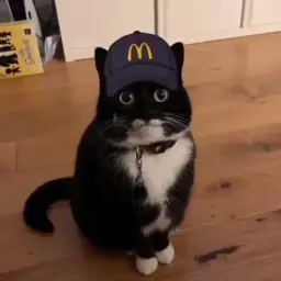 Зубочистка