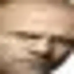 Запрещаю