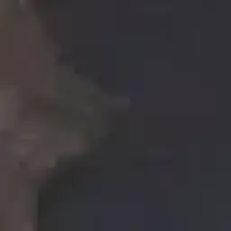 Essshkv