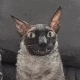 gtrixoff