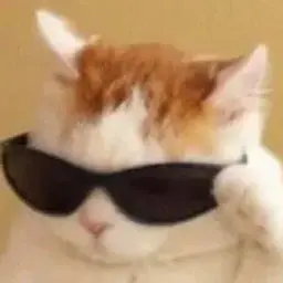 Pokypatel_prav
