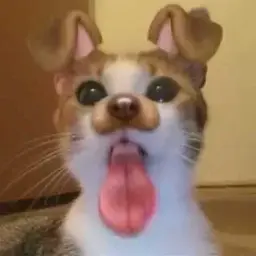 yukseleak
