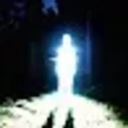 imd