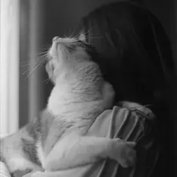 vera_m26