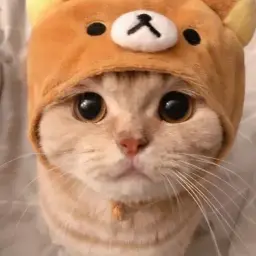 pdiddyANAL