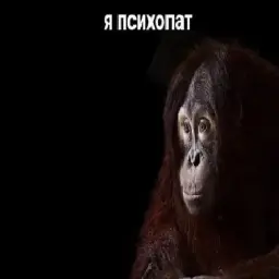 МцКорова