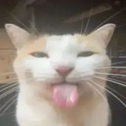 fhctybq