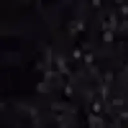 johnbiliams