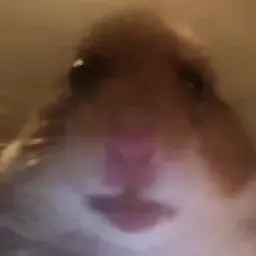 Dimonchik31