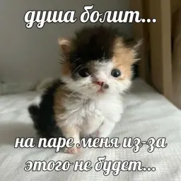 ayetatars