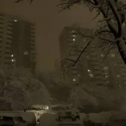 SkizmikLolz