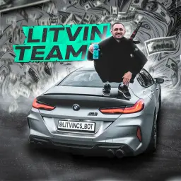 LITVINTEAM