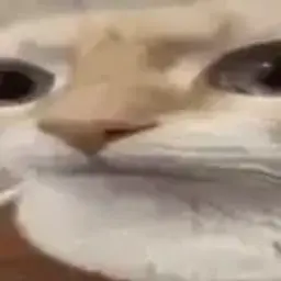 Inos