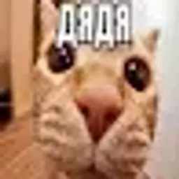 Sohiggg