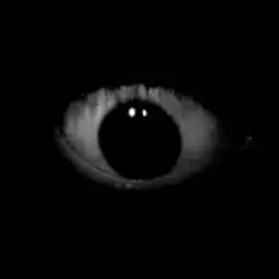 DarkMoriarty