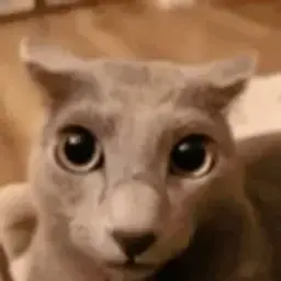 imkocmoc
