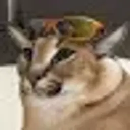 mantcett