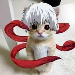KaNeKi_kin