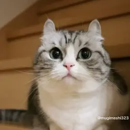 danya473