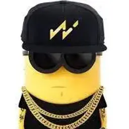 жопич