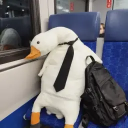 MrGoose