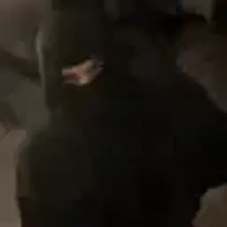 xdagr