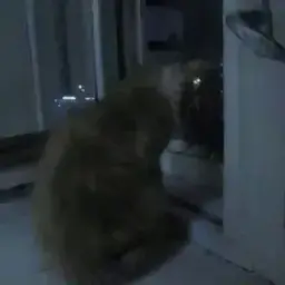 Бесполезно