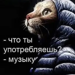 z3vy4
