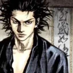 17shu