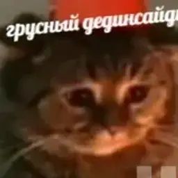 bazutovn