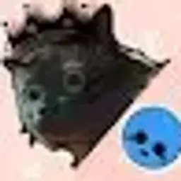 ncripton
