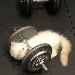 UrWing