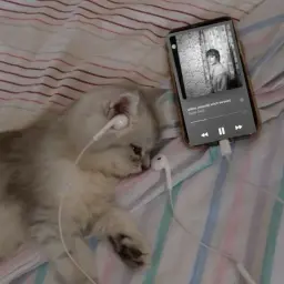 pepper12