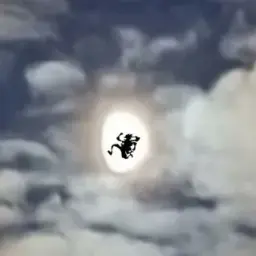 sektys