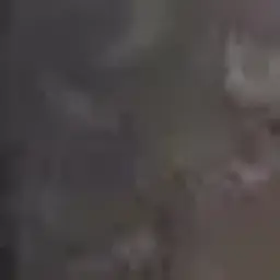 N1qqr