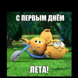 piypiyp1y