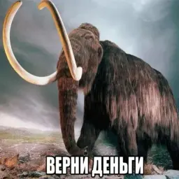 nomilf