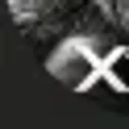 X1Ngg