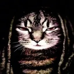 l3capp