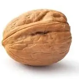 orex228