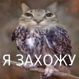 язахожу