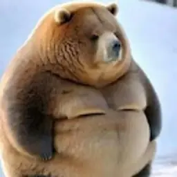 notonlu