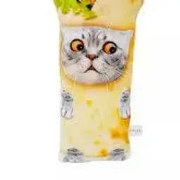 КотШаурма