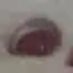 kkmihai
