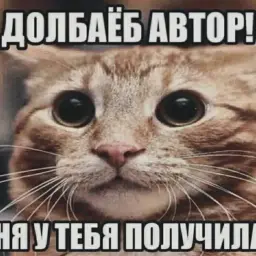 AFOGIDASHIZM