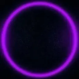 xzxzxz