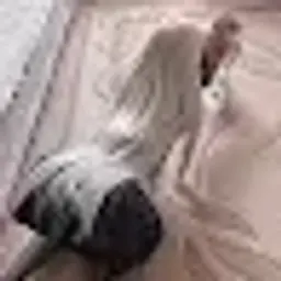 nlo00o