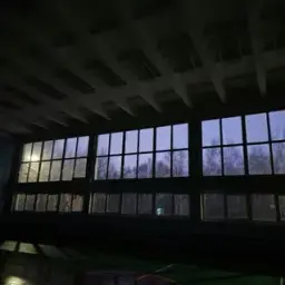 hxalt7