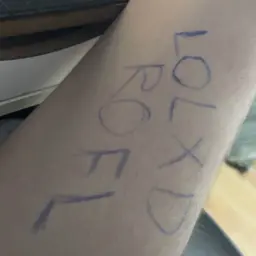lolxdrofl