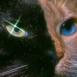 Uduchjf